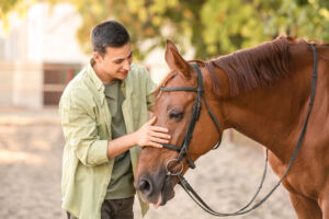 Equine Therapy Horse with Male Patient